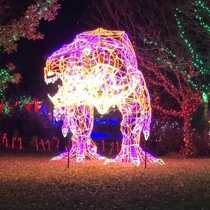 Meet your Posher, Mollie